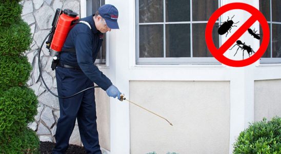 Üsküdar Gümüşkurt İlaçlama böcek ilaçlama ve haşere kontrolü — ilaclama-tr.com